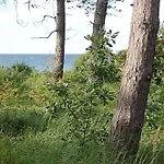 Let's Sea - 2 Bedroom - Premium Baltic With Front Sea View Garden And Access Apartman *