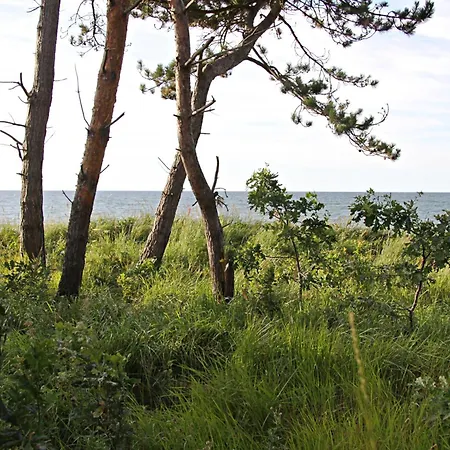 Let's Sea - 2 Bedroom - Premium Baltic With Front Sea View Garden And Access Гонски