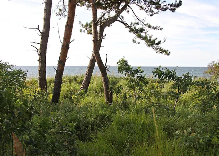 Let's Sea - 2 Bedroom - Premium Baltic With Front Sea View Garden And Access Gąski